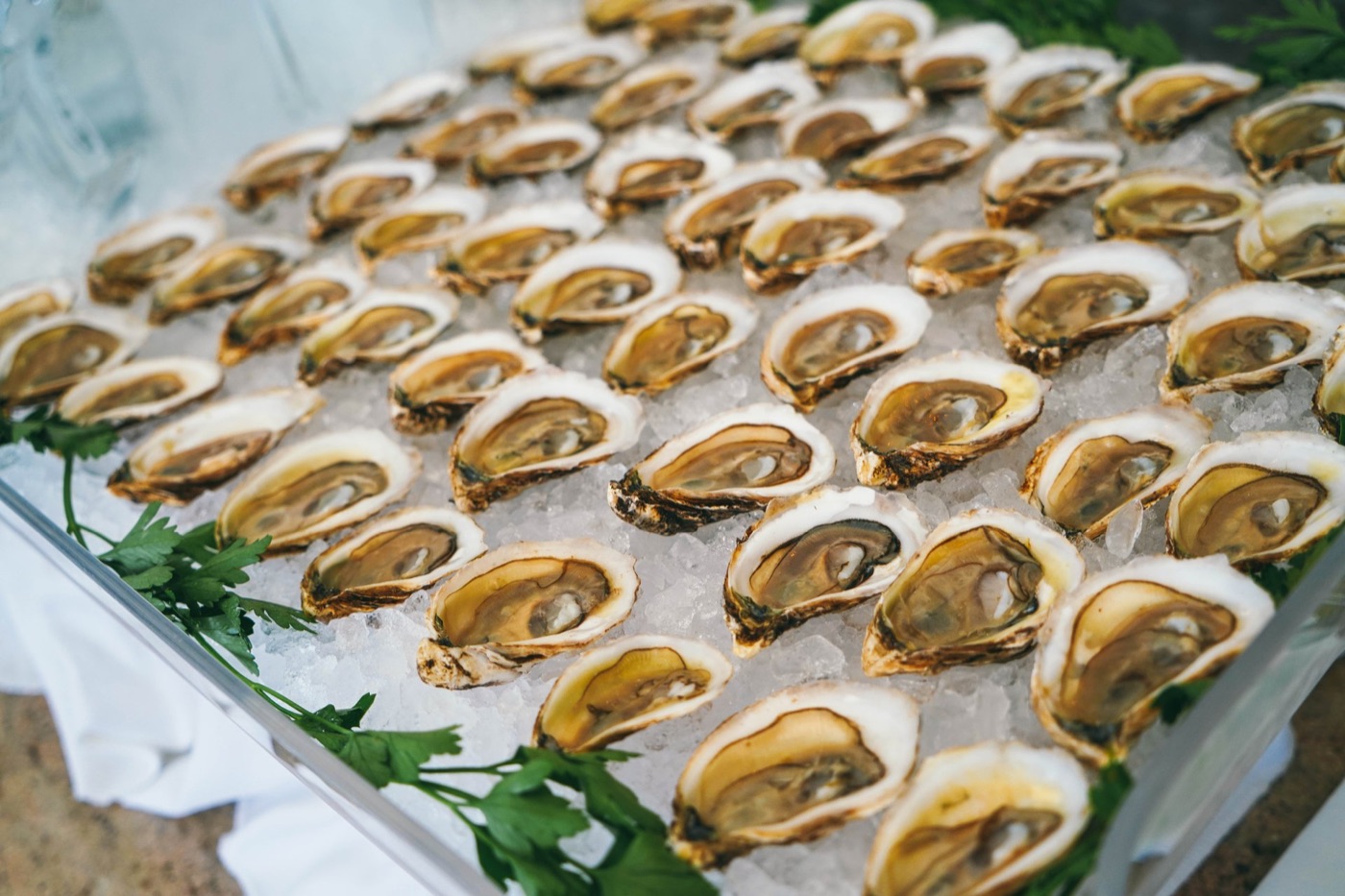Oysters on the half shell over ice